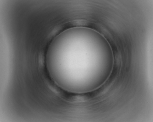 X0000113940255200910021308