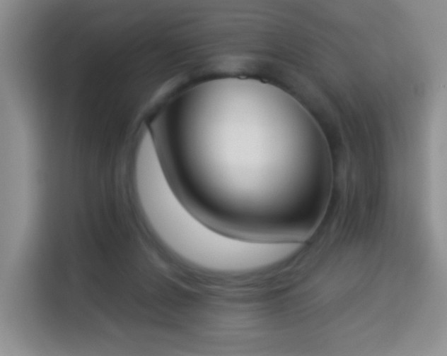 X0000113940256200910021308