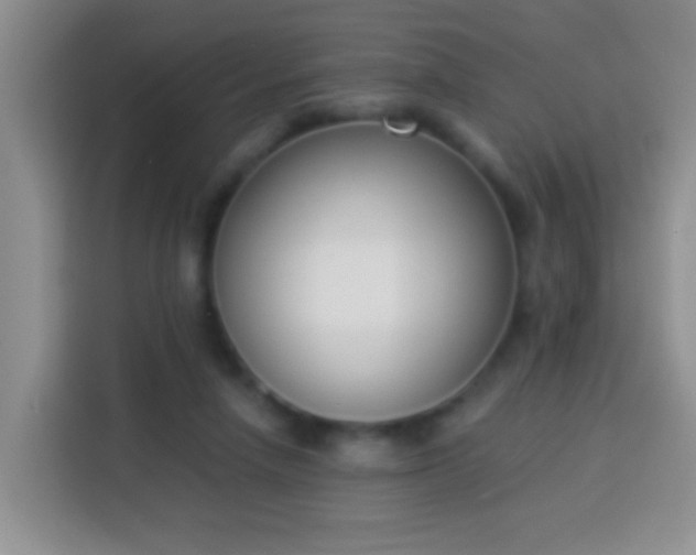 X0000113940258200910021308