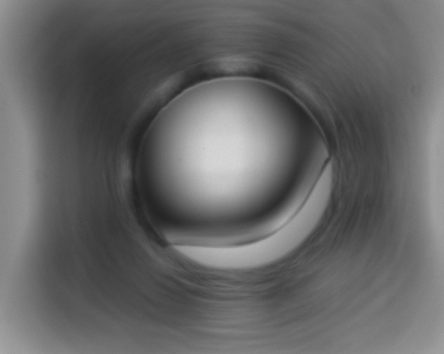 X0000113940260200910021308