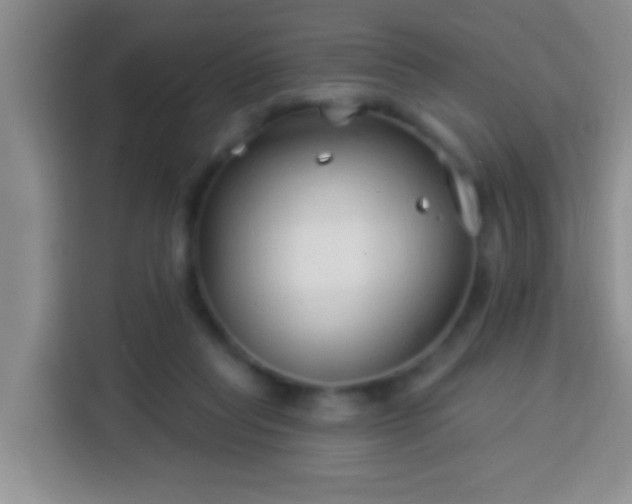 X0000113940261200910021308