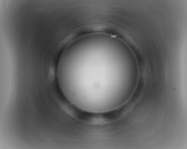 X0000113940262200910021308