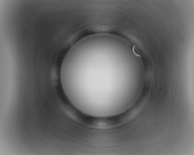 X0000113940264200910021308