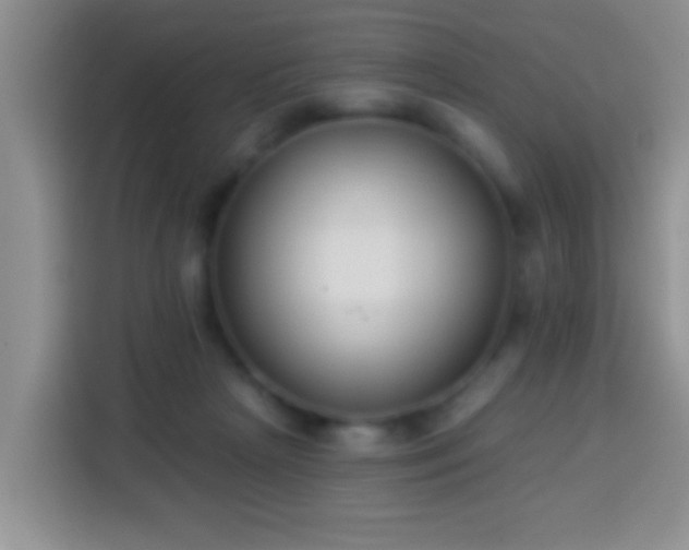 X0000113940265200910021308