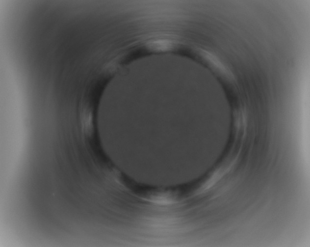 X0000113940267200910021308