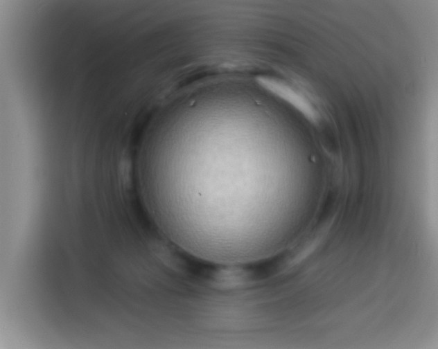 X0000113940269200910021308