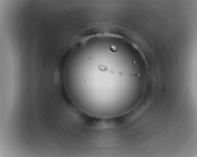 X0000113940270200910021308