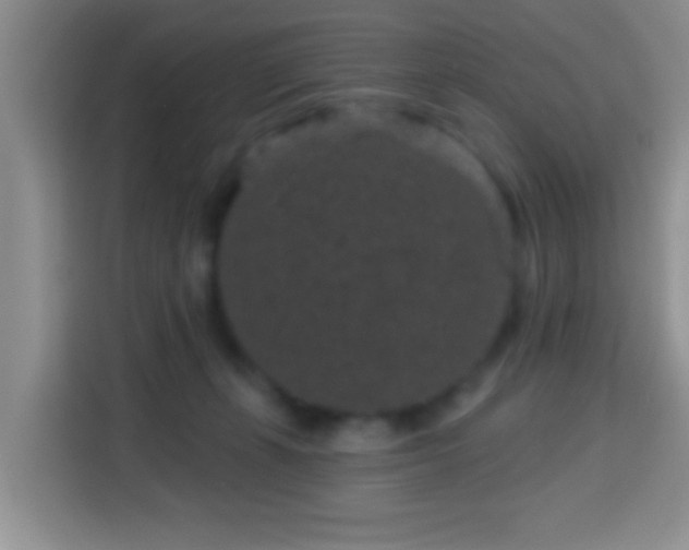 X0000113940271200910021308