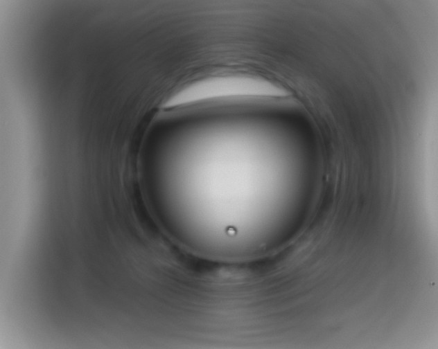 X0000113940272200910021308