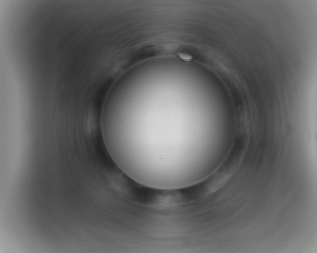 X0000113940274200910021308