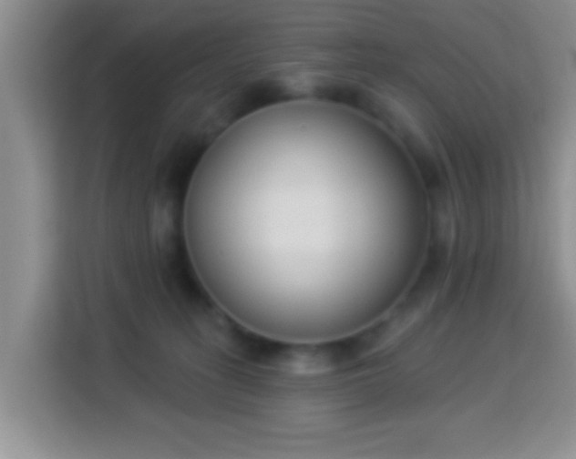 X0000113940275200910021308