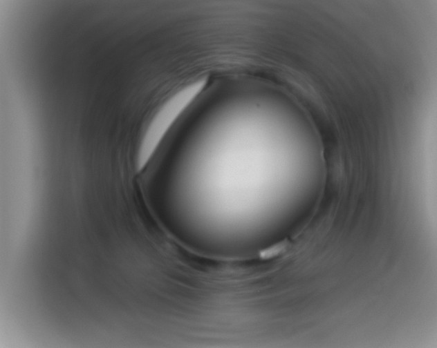 X0000113940276200910021308