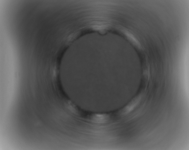 X0000113940277200910021308