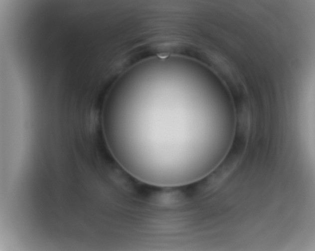 X0000113940278200910021308