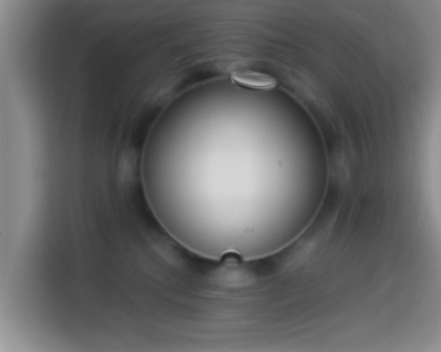 X0000113940280200910021308