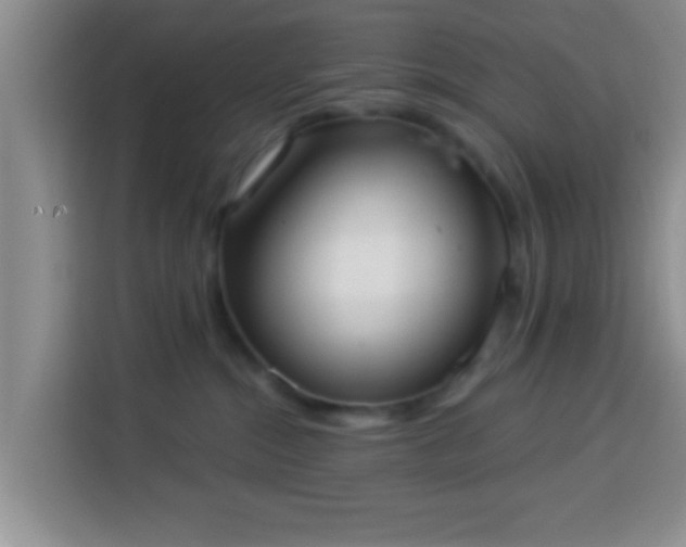 X0000113940284200910021308