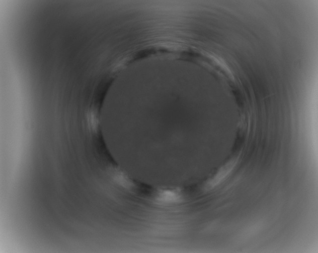 X0000113940285200910021308