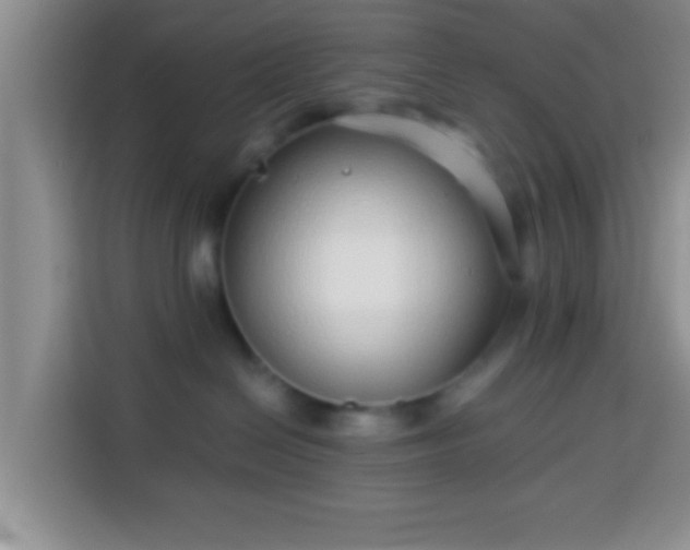 X0000113940286200910021308