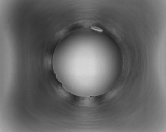 X0000113940288200910021308