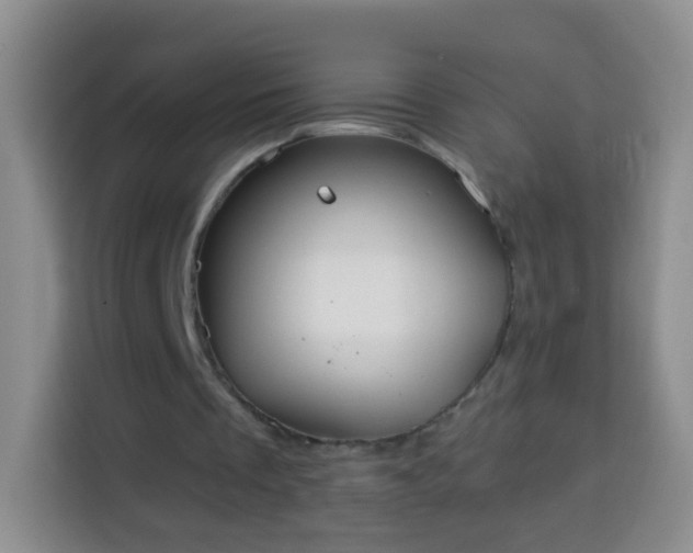 X0000113940289200910021308