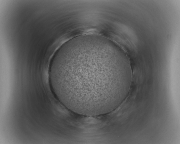 X0000113940290200910021308