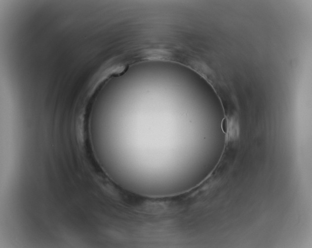 X0000113940291200910021308