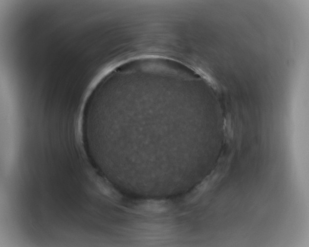 X0000113940292200910021308