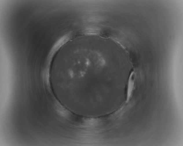 X0000113940293200910021308