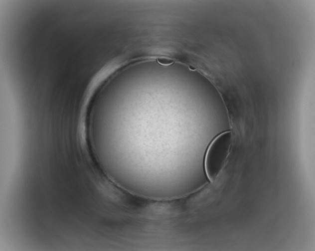 X0000113940294200910021308