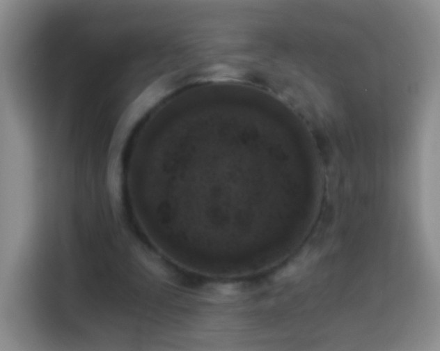 X0000113940295200910021308