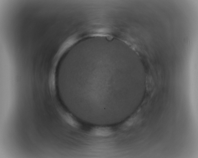 X0000113940296200910021308