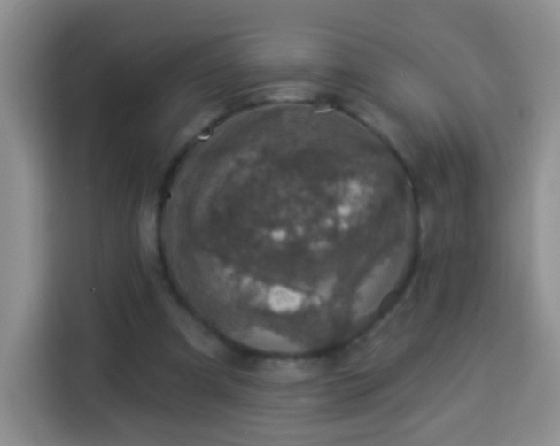 X0000113940297200910021308