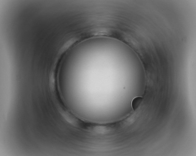 X0000113940298200910021308