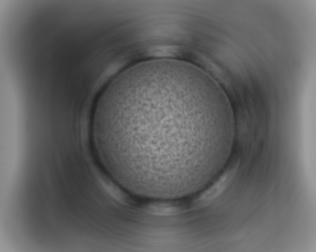 X0000113940299200910021308