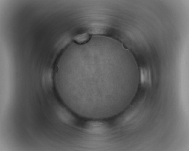 X0000113940300200910021308