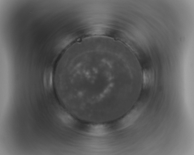 X0000113940301200910021308