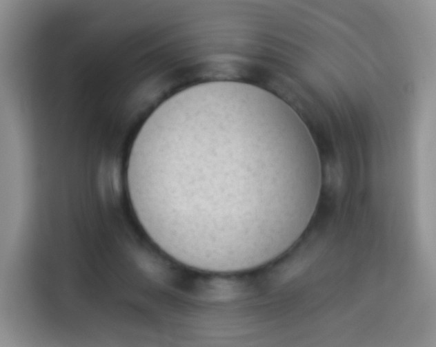 X0000113940302200910021308