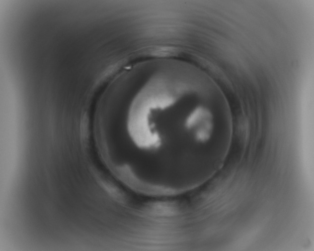 X0000113940303200910021308