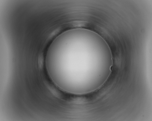 X0000113940304200910021308