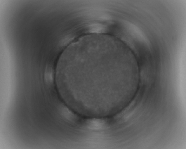 X0000113940305200910021308