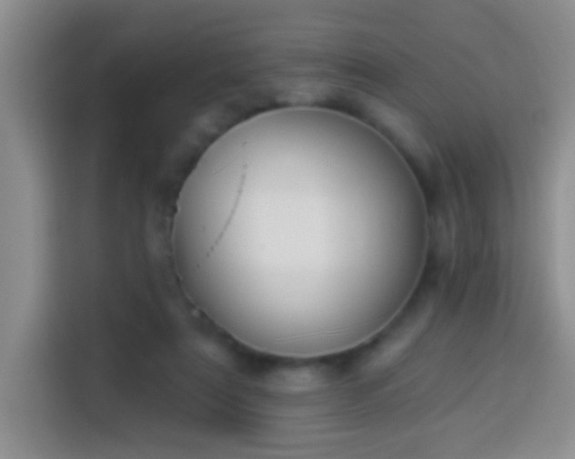 X0000113940307200910021308