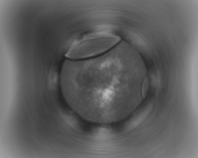 X0000113940308200910021308