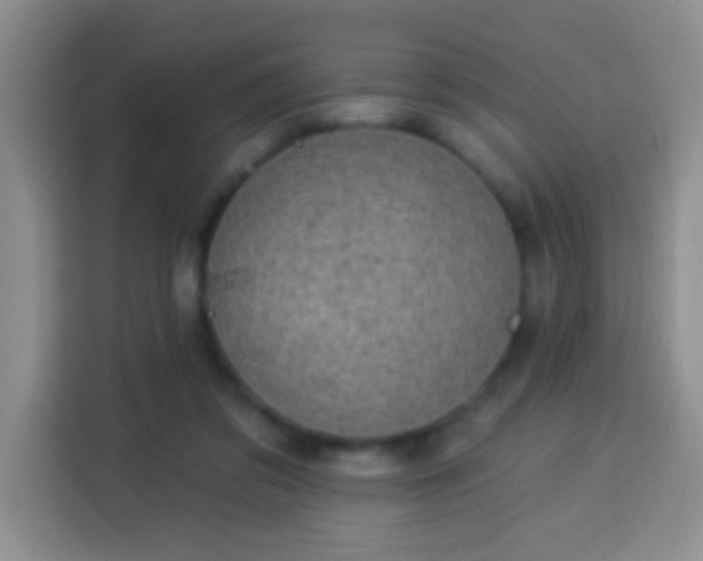 X0000113940309200910021308