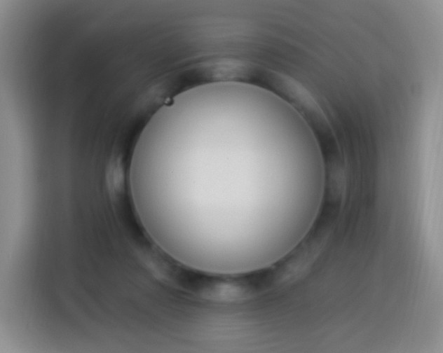 X0000113940310200910021308