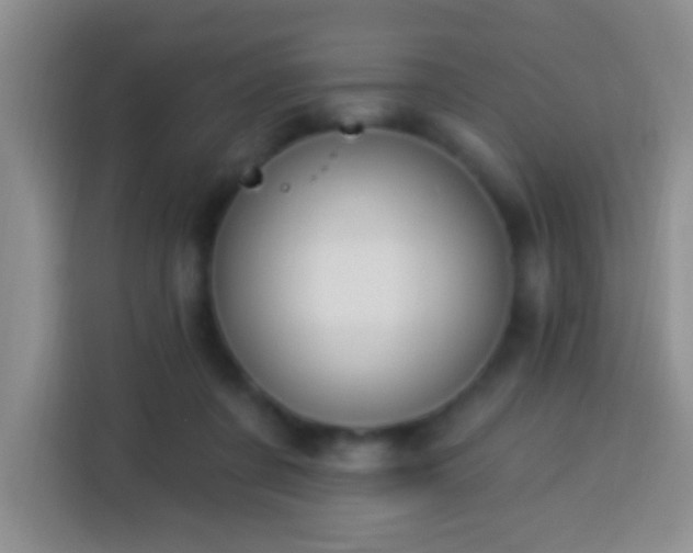 X0000113940311200910021308