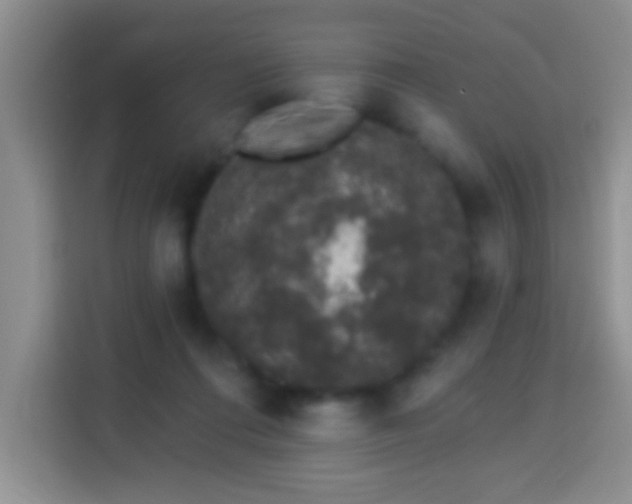 X0000113940312200910021308