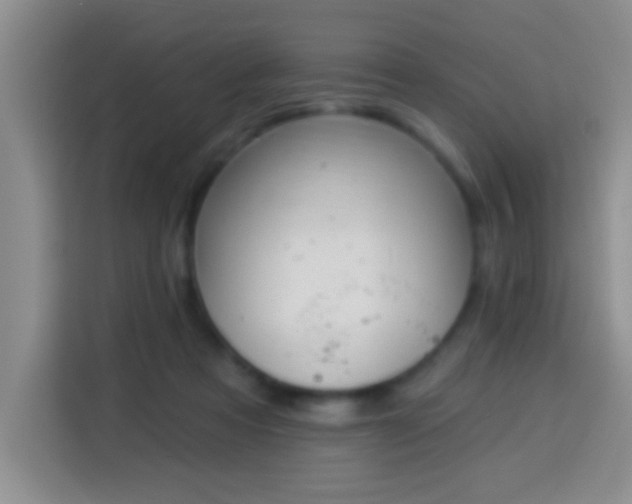 X0000113940313200910021308