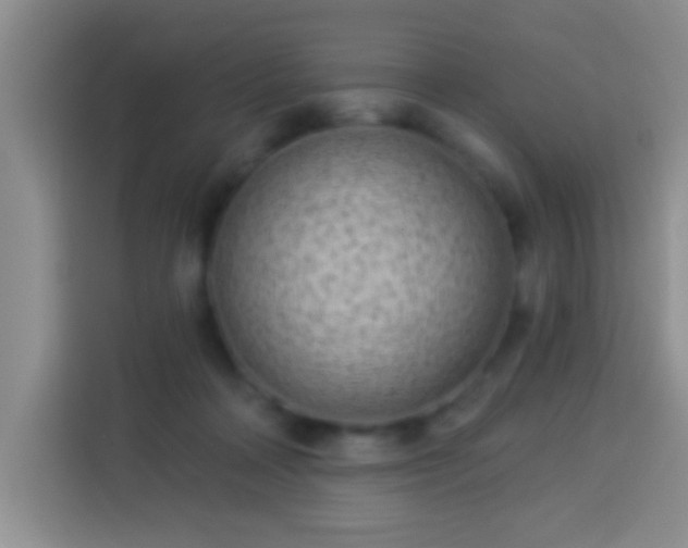 X0000113940314200910021308