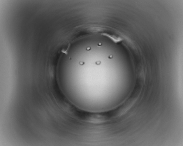 X0000113940315200910021307