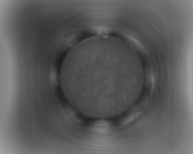 X0000113940316200910021307